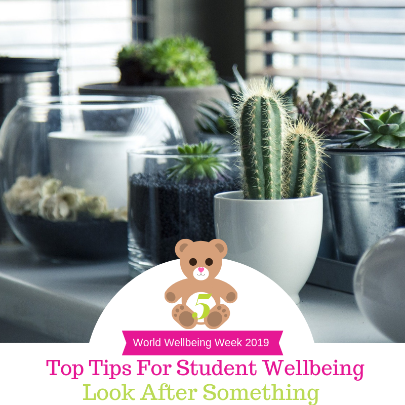 Top tops for student wellbeing